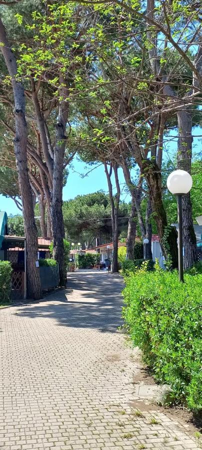 Linus Marina di Massa